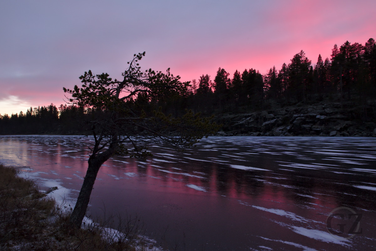 Pink color from sunset reflecting on lake ice