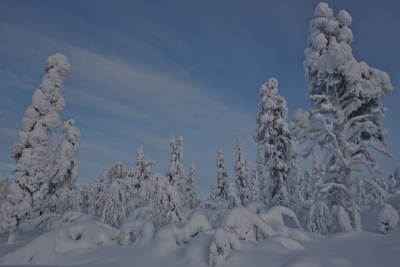 Jyppyrävaara