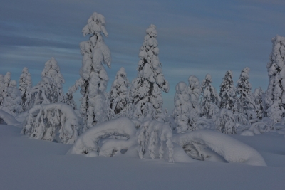 Jyppyrävaara