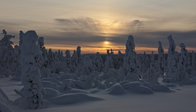 Jyppyrävaara