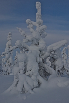 Jyppyrävaara