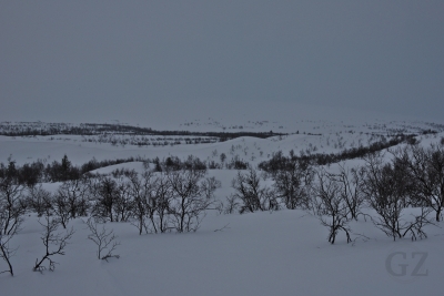 dsc_3620