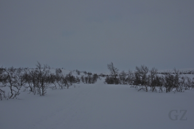 dsc_3622