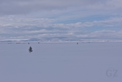Termisvaara