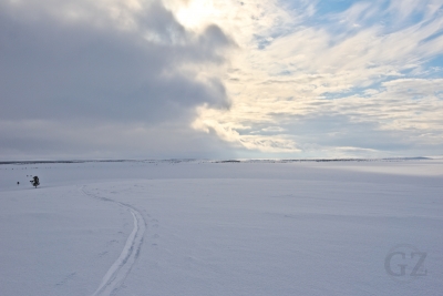 Pöyrisjärvi
