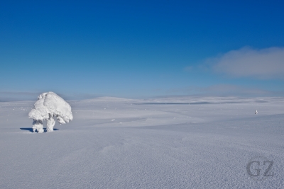 Aletavaara