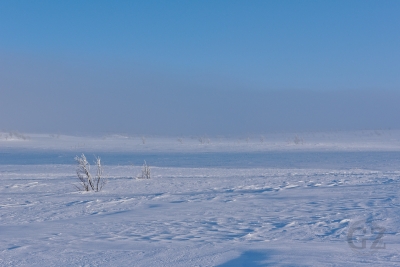 Pöyrisjärvi
