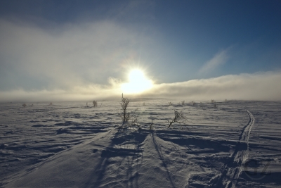 Pöyrisjärvi