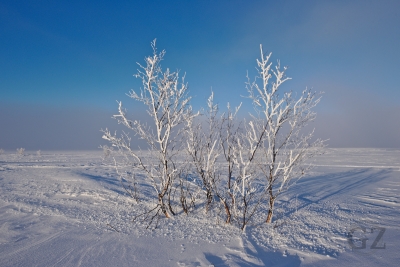 Pöyrisjärvi