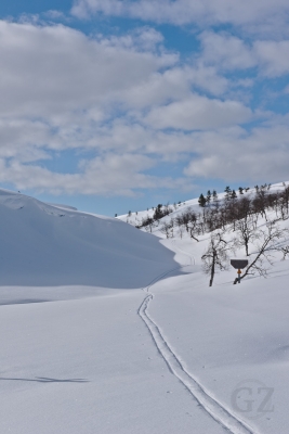 Hetta-Hannukuru
