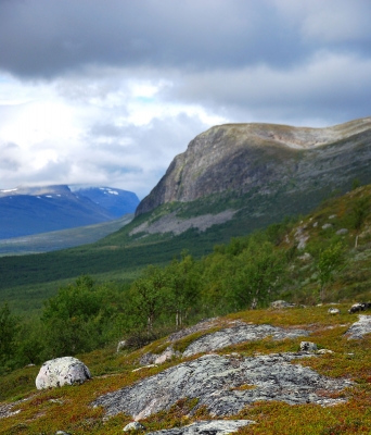 Malla Strict Nature Reserve