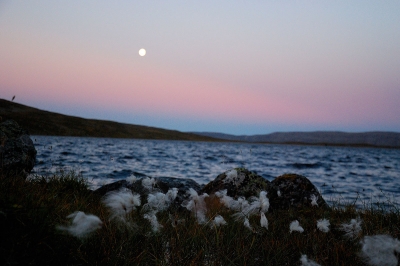 Saanajärvi