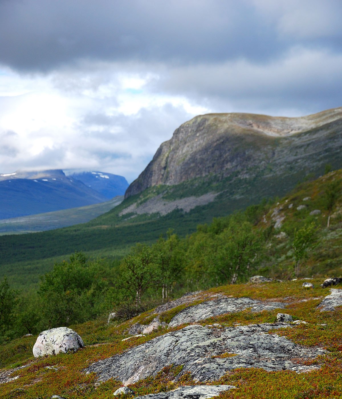 Malla Strict Nature Reserve
