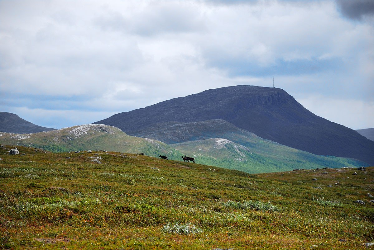 Saana Mountain