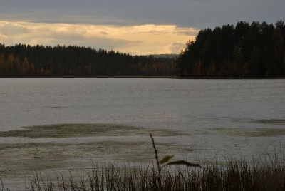 Sierijärvi