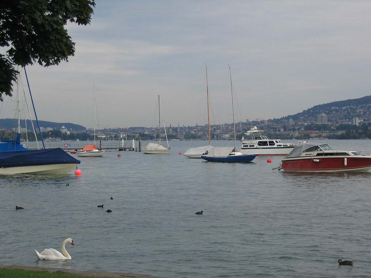 Lake Zurich