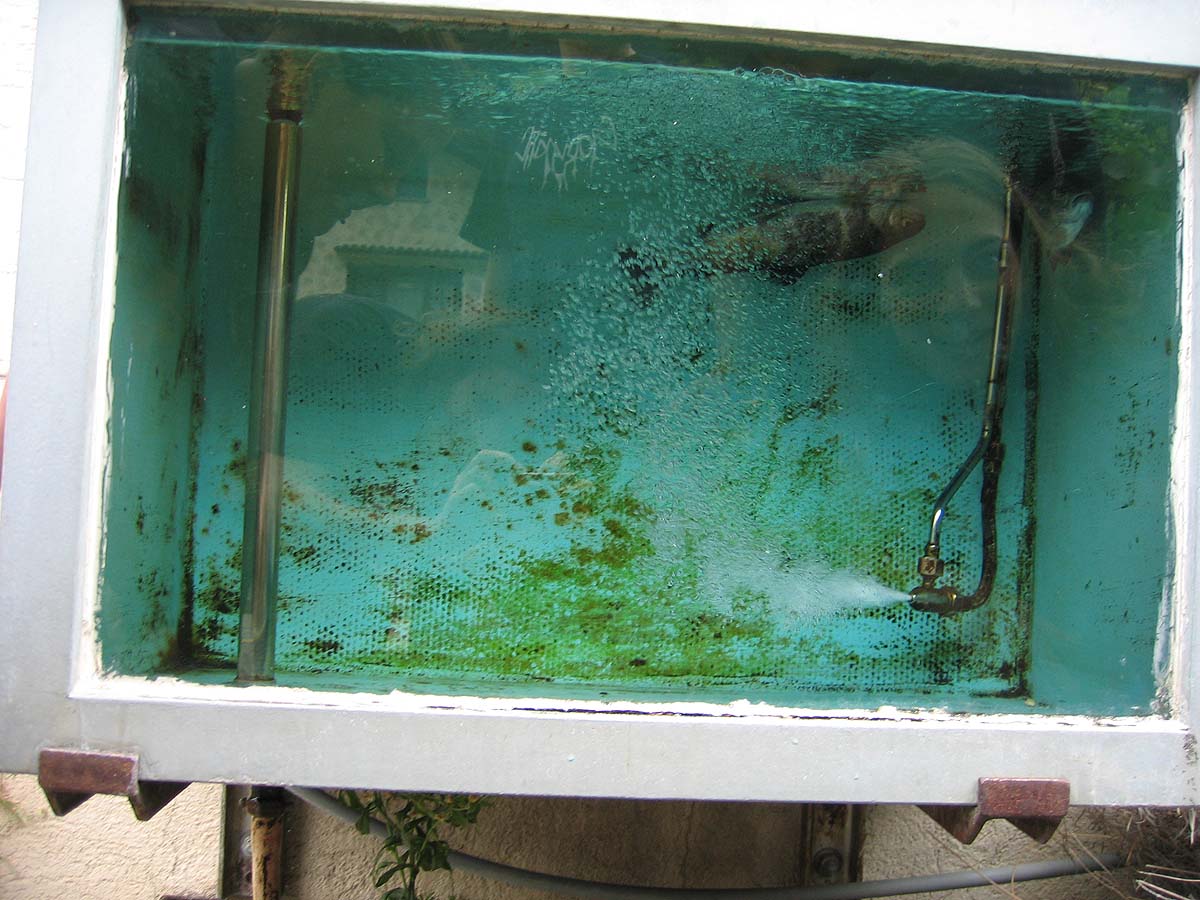 Food in Muotathal ;-)