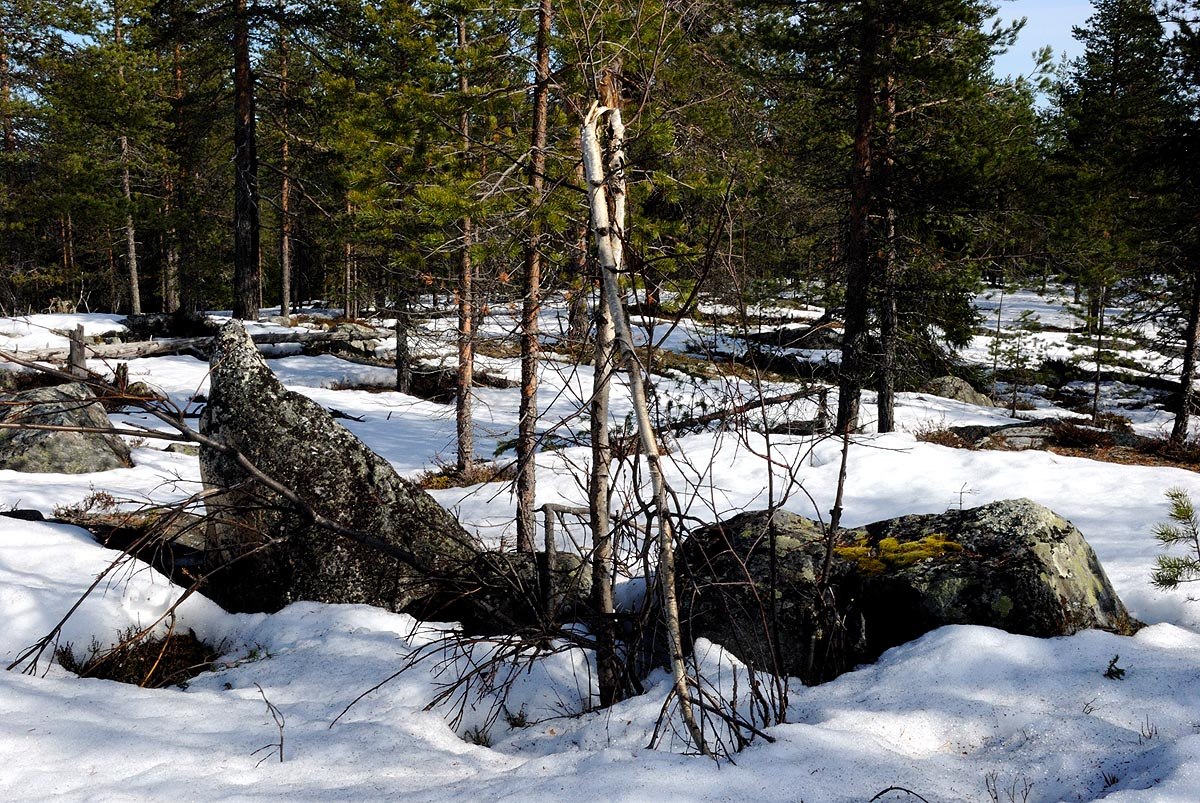 Rovaniemi in Spring - Gerald Zojer's Blog