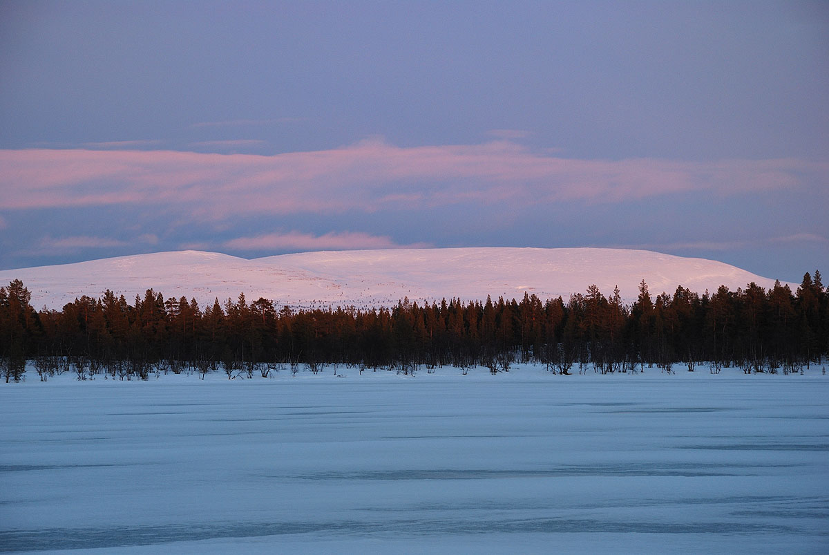 Rautujärvi