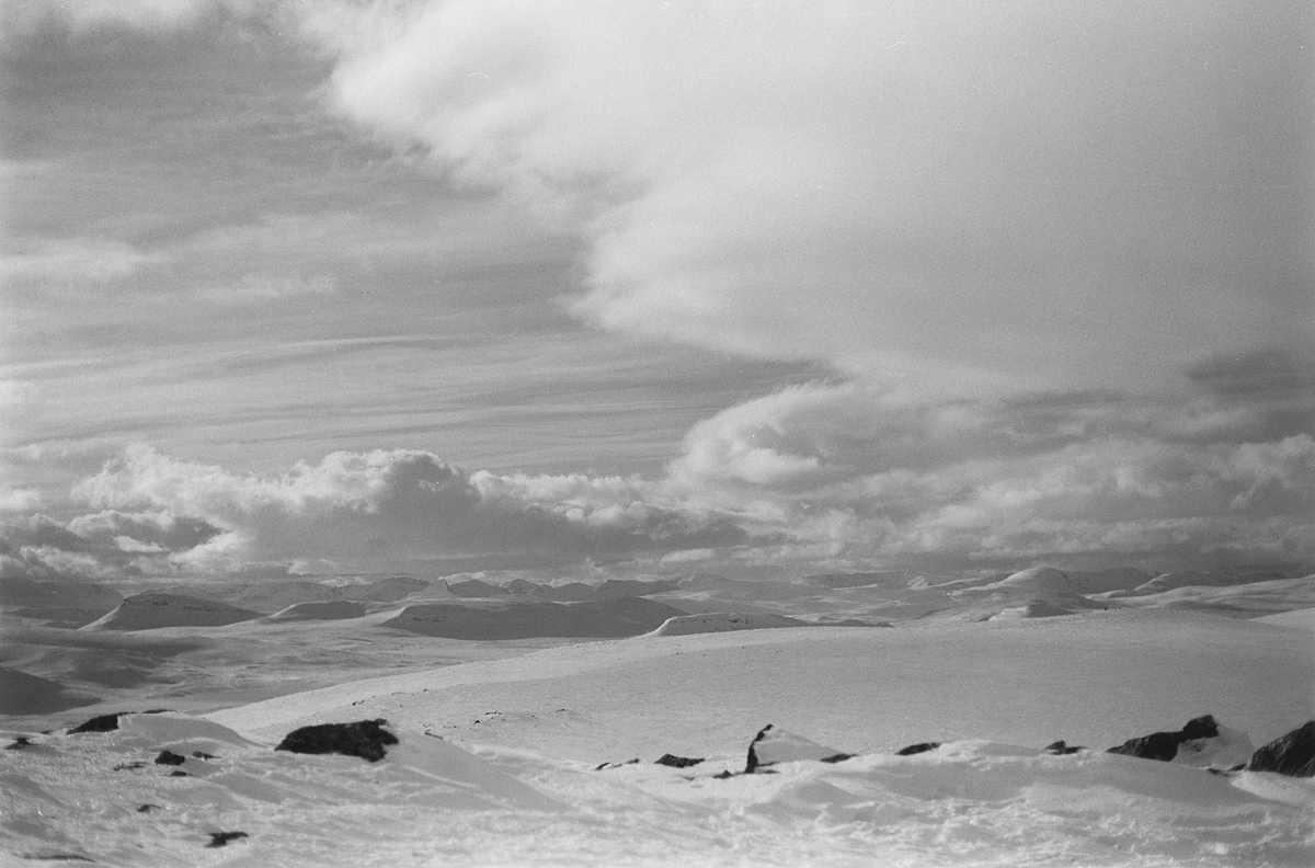 Käsivarsi Wilderness Area - near Kilpisjärvi