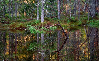 Ounasvaara & Väiskin Laavu in Spring - Gerald Zojer's Blog