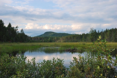 Grotton State Forest