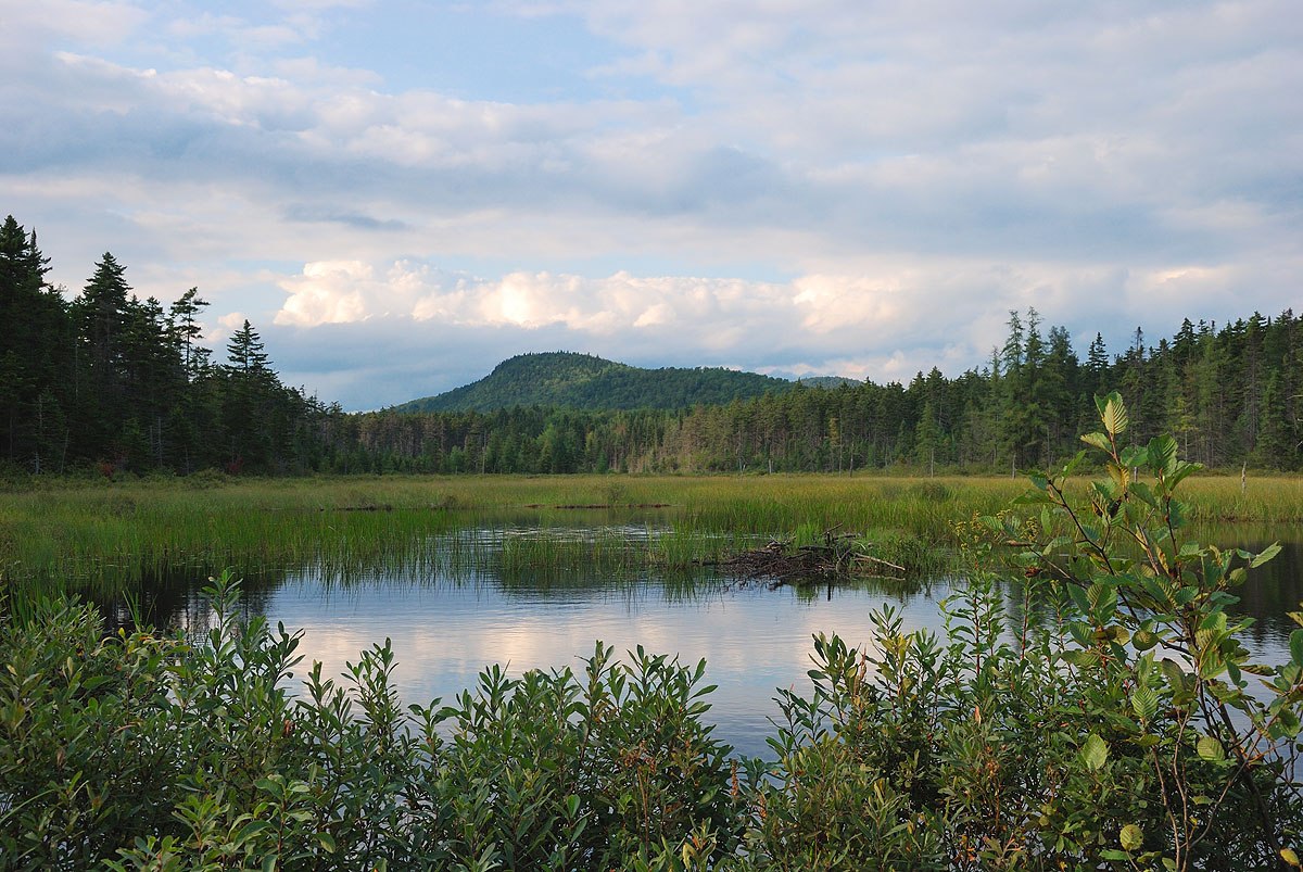 Grotton State Forest