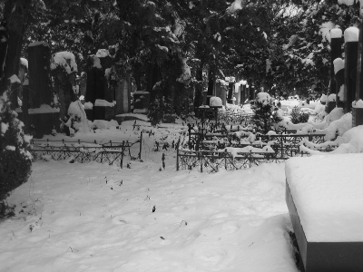Zentralfriedhof, Wien