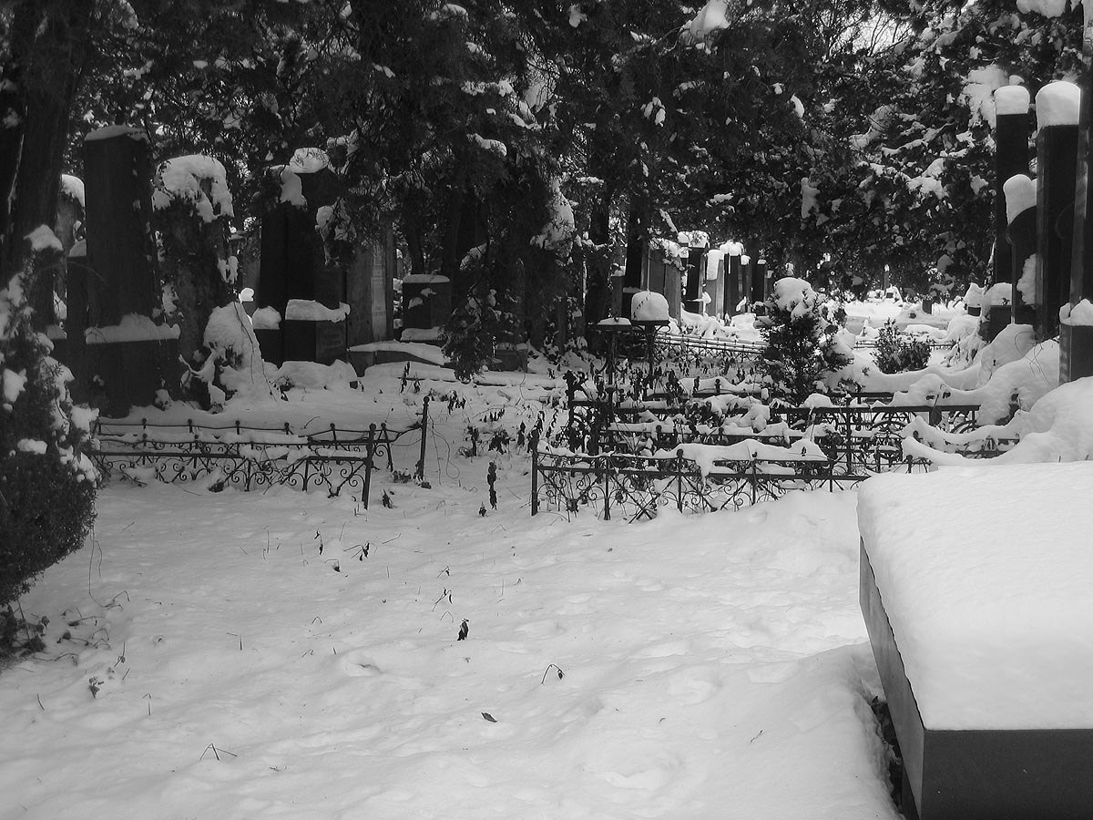 Zentralfriedhof, Wien
