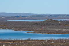 Ellanjärvi and Sand Dunes