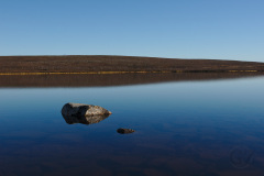 The Rock