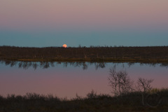 Moon Rise