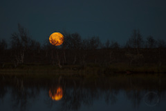 Moon Rise