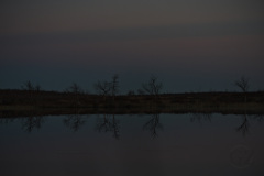 Evening Sky