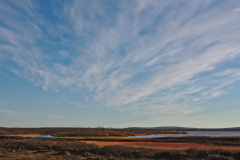 Beginning of Pöyrisjoki