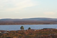 Pöyrisjärvi Wilderness Area