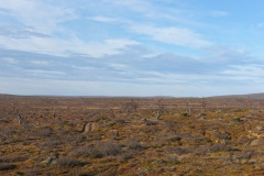 Trail