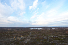 Rautujärvi