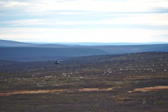 Modern Reindeer Herding
