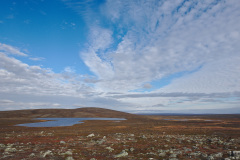 Rautujärvi