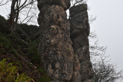 Stallokuru