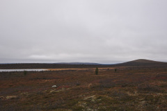 Jäkälä-Kuorttusvaara