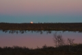 Moon Rise
