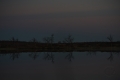 Evening Sky