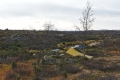 DIY Tarp at Suomajoki