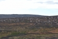 Reindeer Migration