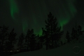 Northern Lights