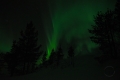 Northern Lights