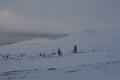 Pallas-Yllästunturi National Park