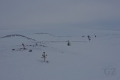 Pallas-Yllästunturi National Park